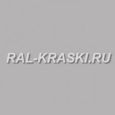 Штрих корректор RAL-9006 Wiessaluminium-met (30 мл.)